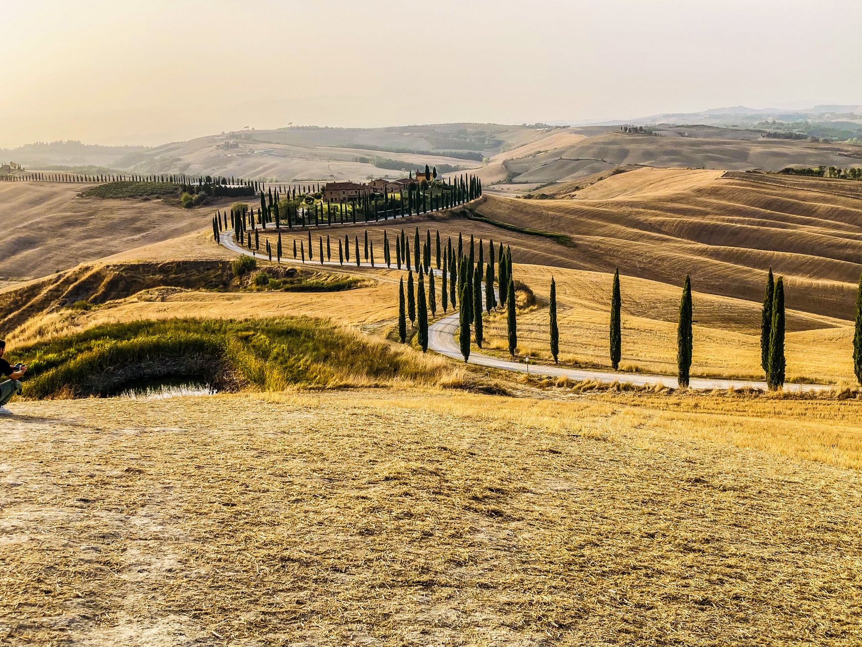 Tuscan hills and vineyards